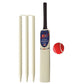 Cricket Bat Set Young American Gift Wooden Cricket Sets for Kids