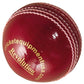 Cricket Ball Revolution Red Leather by CE