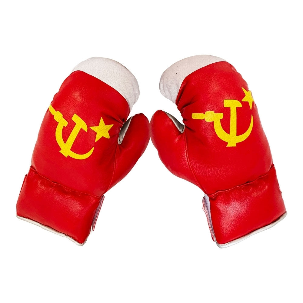 Boxing Gift Set for Kids Russian Theme Boxing Gloves & Punching Bag Martial Arts MMA