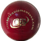 Cricket Ball Stealth Red Leather