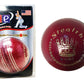 Cricket Ball Stealth Red Leather